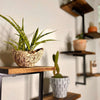 7 ways to style your shelf