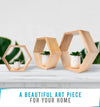 Rustic Wall Mounted Hexagonal Floating Shelves – Set of 3