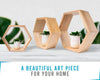 Rustic Wall Mounted Hexagonal Floating Shelves – Set of 3