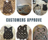 Cast Iron Owl Trivet