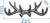 Vintage Cast Iron Deer Antlers Wall Hooks